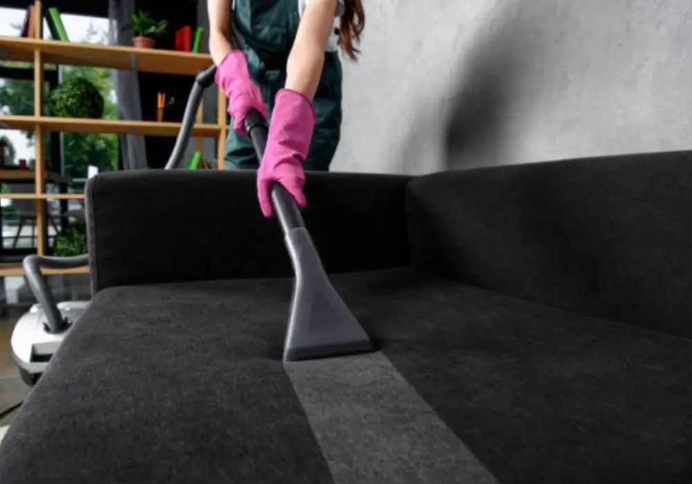 Carpet and Upholstery Cleaning