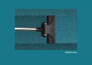 Carpet and Upholstery Cleaning